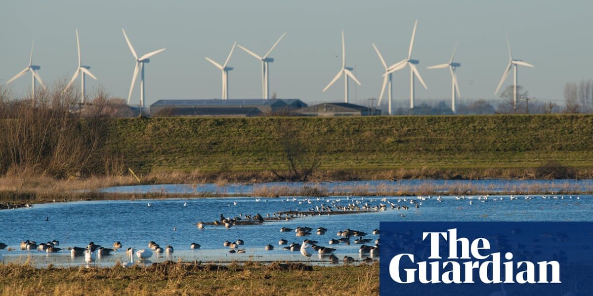According to a study, the UK allocates the smallest amount of funding compared to other major European countries for policies promoting low-carbon energy.