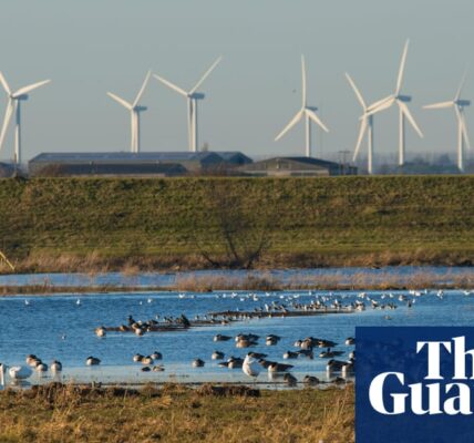 According to a study, the UK allocates the smallest amount of funding compared to other major European countries for policies promoting low-carbon energy.