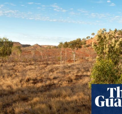 Australia’s carbon credits system a failure on global scale, study finds