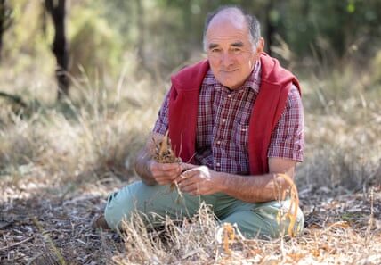 Black summer fires: a veteran ecologist says Australia’s bushfire modelling is flawed. Others disagree
