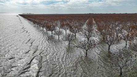 Can the zombie lake in California, which was turned into a farmland, now become water once again after a year?