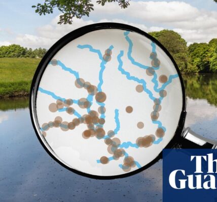 England’s sewage crisis: how polluted is your local river and which regions are worst hit?