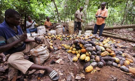 People separate cocoa beans at a farm in San Pedro, western Ivory Coast