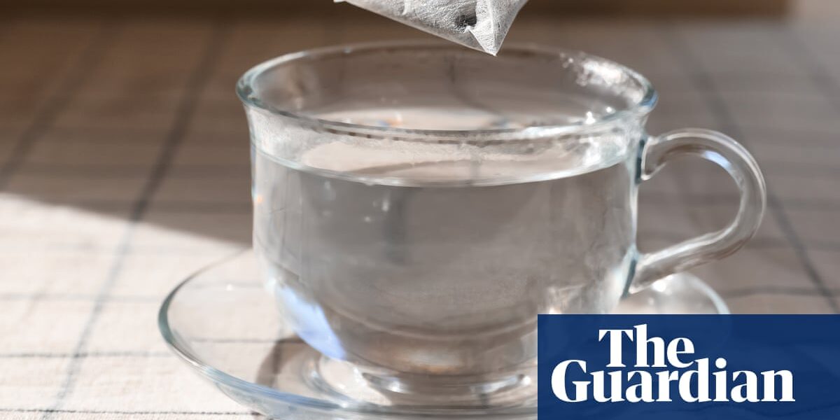 Practice by Rosalind Brown review – tea, yoga and sonnets