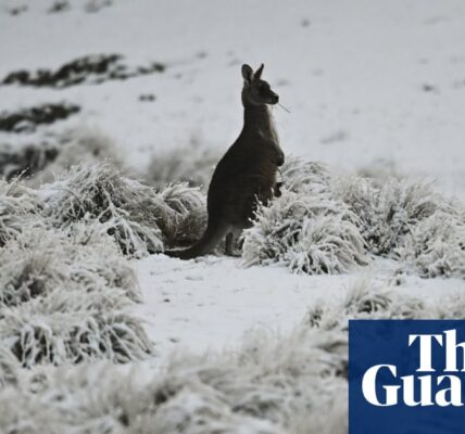 Research has indicated that The Australian Alps are at risk of experiencing the biggest decrease in snowfall worldwide by the end of the 21st century.