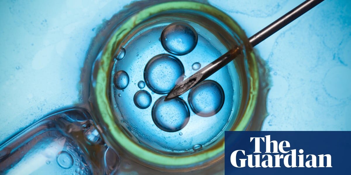 Researchers are one step closer to creating in vitro fertilization (IVF) eggs using skin cells.