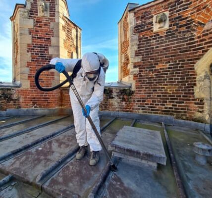 Specialists in the field of space exploration are currently conducting research on the roofs of England's cathedrals to collect samples of interstellar dust, which they refer to as "cosmic cleaners".