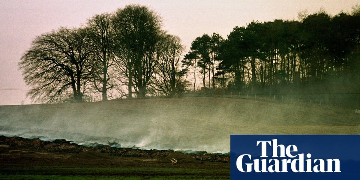 The Borrowed Hills by Scott Preston review – a blistering tale of land and violence