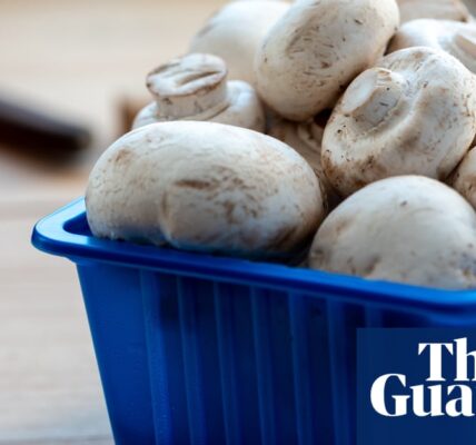 The exclusion of mushrooms from National Trust menus: a deeper look into the ban on certain fungi.