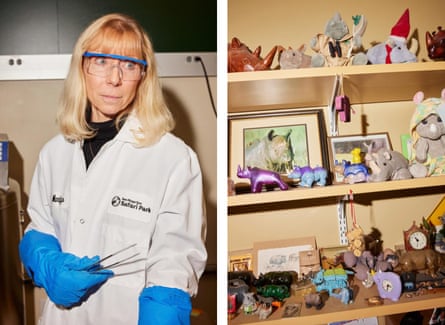 left: portrait of woman in lab coat. right: toy rhinos, rhino stuffed animals and photos of rhinos on shelves