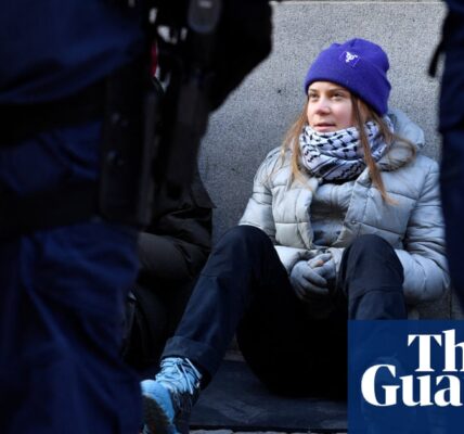 The Swedish police forcefully remove Greta Thunberg from the entrance of parliament.