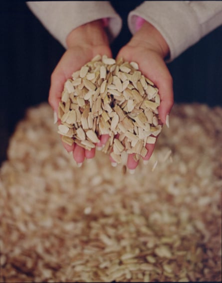 Close-up of a pair of hands full of seeds