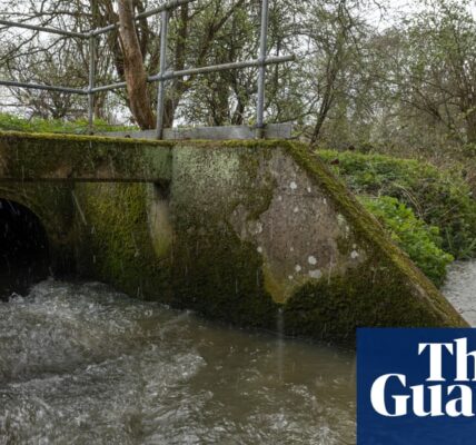 Water companies in England face outrage over record sewage discharges