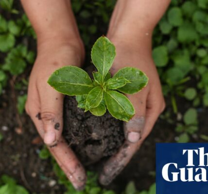 Weatherwatch: Tree-planting campaigns get a lift from Irish guide