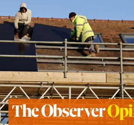 A heedless dash for net zero will waste cash and, later, votes | Phillip Inman