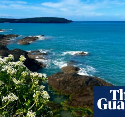 Country diary: A fine coastline with secrets in the soil | Alex Pearce-Broomhead