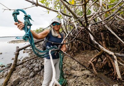 ‘Currents bring life – and plastics’: animals of Galápagos live amid mounds of waste