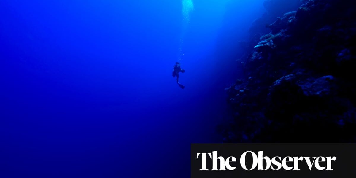 Deep Water: The World in the Ocean by James Bradley review – a compelling sea view of civilisation