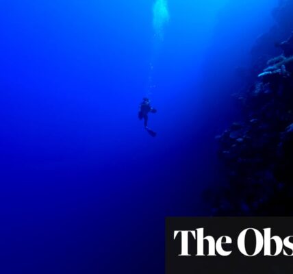 Deep Water: The World in the Ocean by James Bradley review – a compelling sea view of civilisation