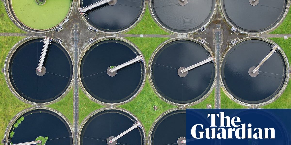 ‘Dirty secret’: insiders say UK water firms knowingly break sewage laws