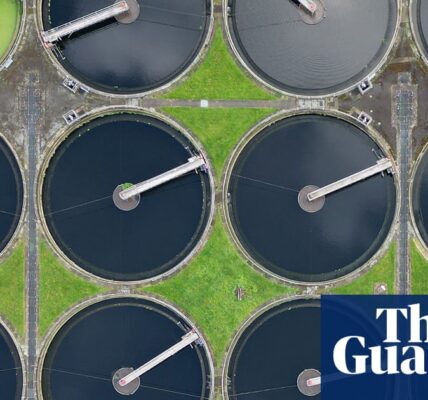 ‘Dirty secret’: insiders say UK water firms knowingly break sewage laws