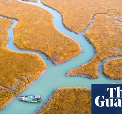 Estuaries, the ‘nurseries of the sea’, are disappearing fast