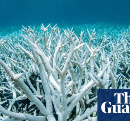 Global heating pushes coral reefs towards worst planet-wide mass bleaching on record