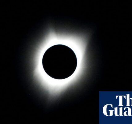 Horny tortoises and solar mysteries: what scientists can learn from a total eclipse – podcast