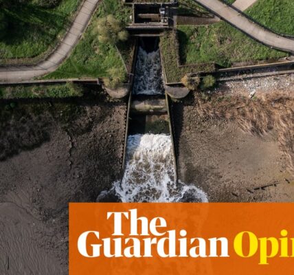 How the overseas owners of the UK’s water companies clean up by polluting our rivers | George Monbiot