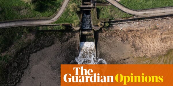 How the overseas owners of the UK’s water companies clean up by polluting our rivers | George Monbiot