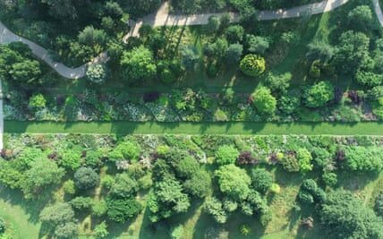 ‘It will blow people away’: Dutch superstar gardener redesigns RHS flagship Wisley garden