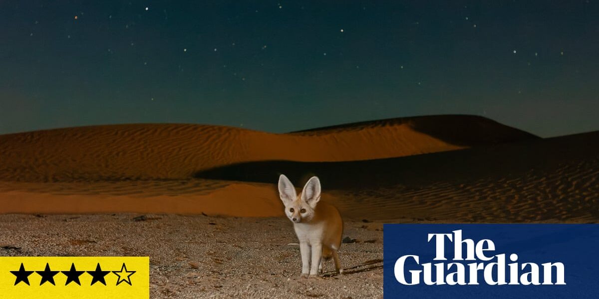 Mammals review – David Attenborough delivers one of wildlife TV’s greatest pleasures