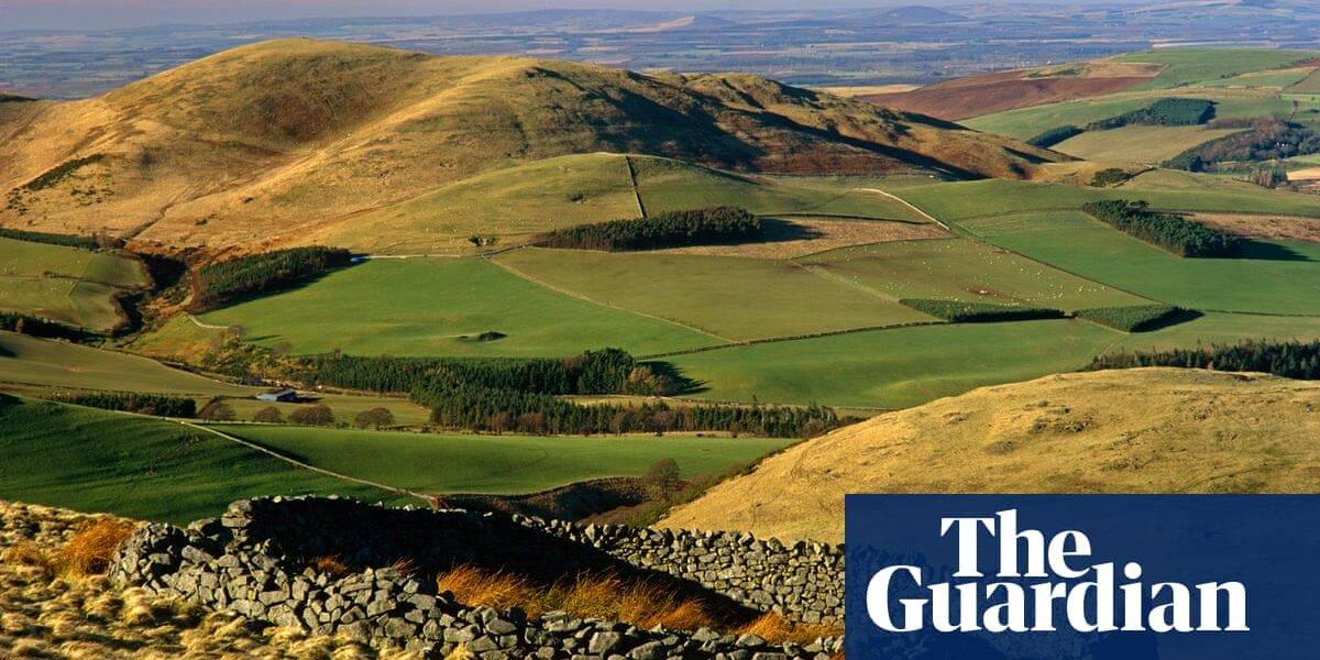 National parks in England and Wales failing on biodiversity, say campaigners