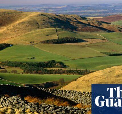 National parks in England and Wales failing on biodiversity, say campaigners