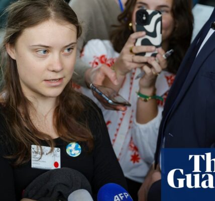 'Only the beginning': Greta Thunberg reacts to court ruling on Swiss climate inaction – video