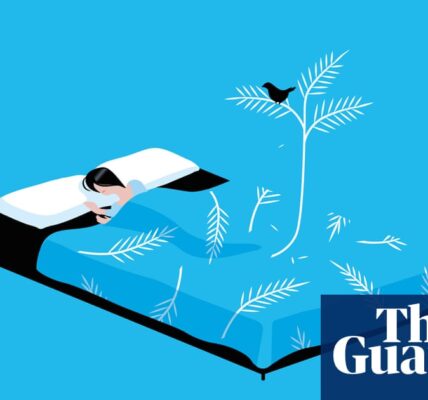 The big idea: what if dreaming is the whole point of sleep?