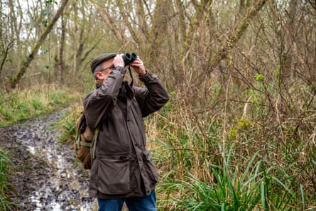 Richard Broughton looking for Marsh Tits in Monks Wood, Cambridgeshire, UK.
