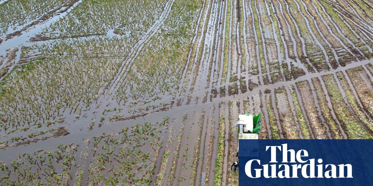Which UK foods are at risk as extreme weather causes havoc with global supplies?