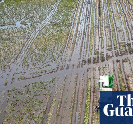 Which UK foods are at risk as extreme weather causes havoc with global supplies?