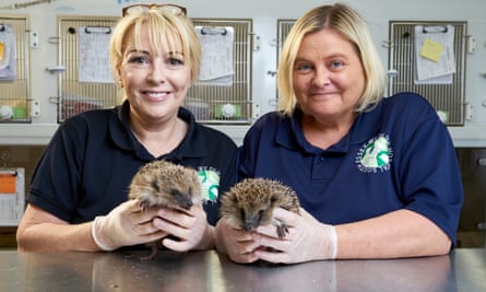 Sue (left) and Sharon (right) on Wildlife Rescue.
