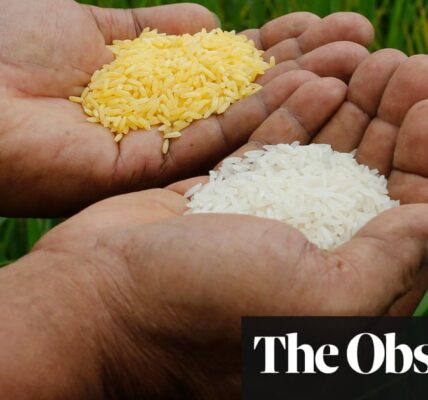 ‘A catastrophe’: Greenpeace blocks planting of ‘lifesaving’ Golden Rice