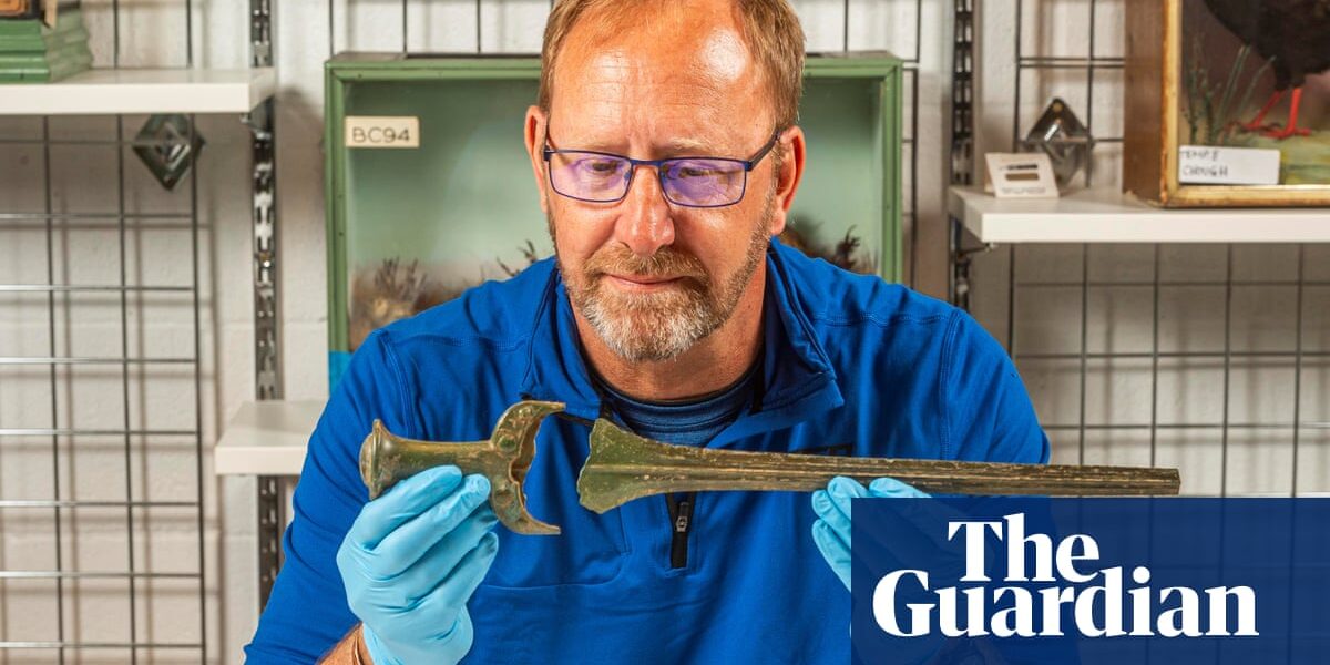 Detectorist unearths bronze age hoard after getting lost on treasure hunt