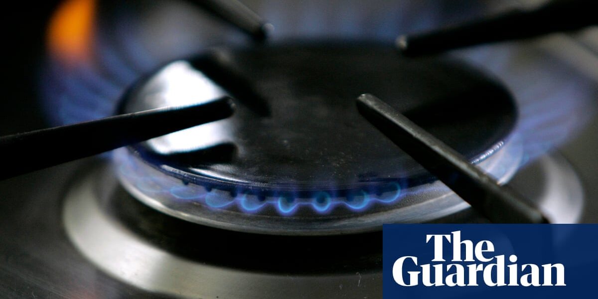 Gas stoves increase nitrogen dioxide exposure above WHO standards – study