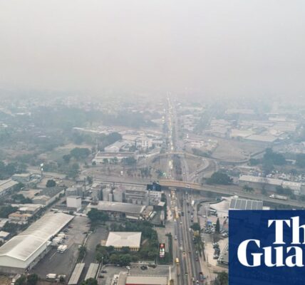 Honduran city’s air pollution is almost 50 times higher than WHO guidelines