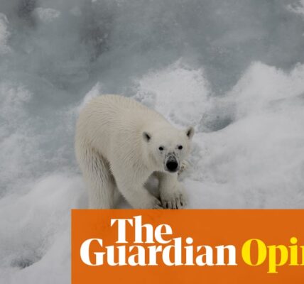 Humanity’s survival is still within our grasp – just. But only if we take these radical steps | David King