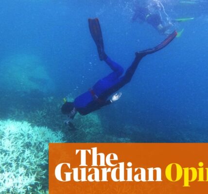 I weep for the corals, but what I saw on the Great Barrier Reef gives me hope | Kerrie Foxwell-Norton