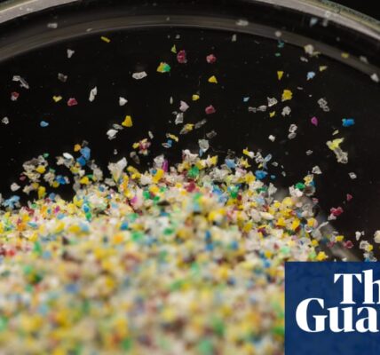 Microplastics found in every human testicle in study