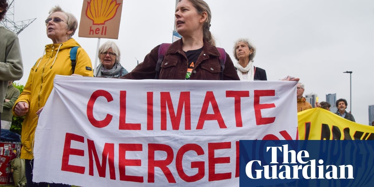 No Tory MPs voted positively on climate issues since party took power, study finds