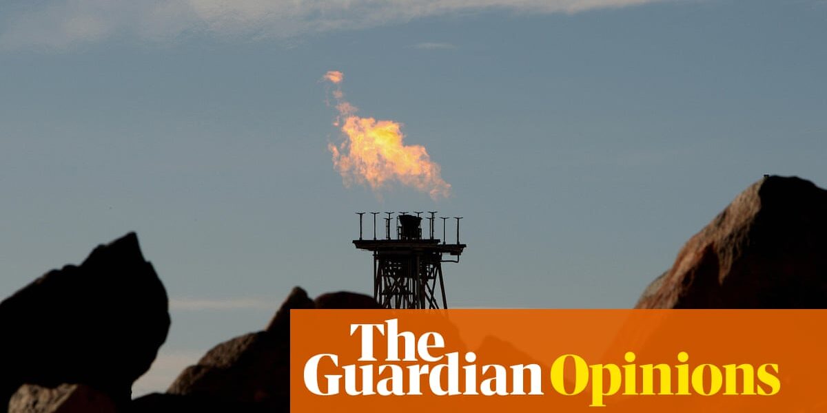 On Australia’s climate and extinction crises, the major parties both have questions to answer | Present Tense