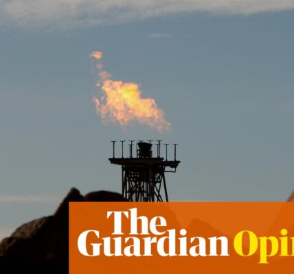 On Australia’s climate and extinction crises, the major parties both have questions to answer | Present Tense